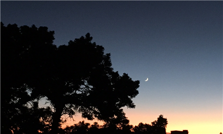 Banner Picture